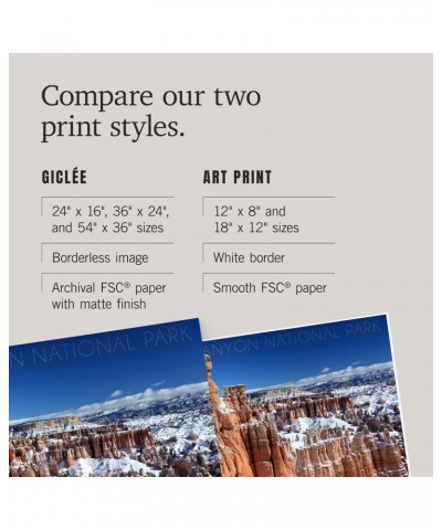 24x36 Inch Giclee Print, Bryce Canyon National Park, Utah, Thors Hammer Winter $26.49 Totes