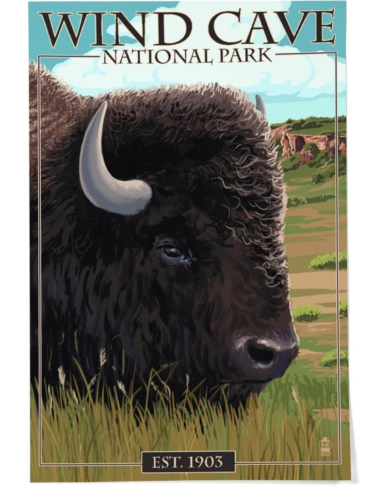 24x36 Inch Giclee Print, Wind Cave National Park, South Dakota, Bison $24.00 Totes