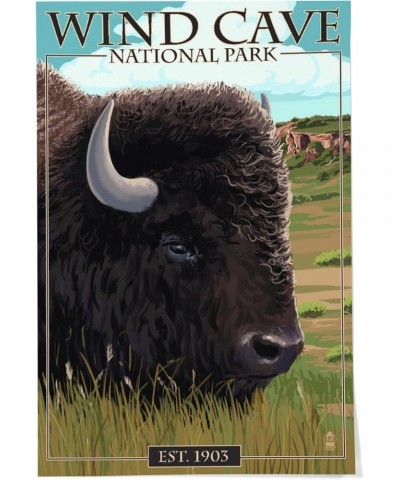 24x36 Inch Giclee Print, Wind Cave National Park, South Dakota, Bison $24.00 Totes