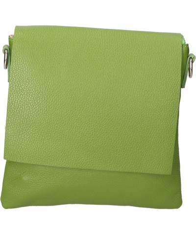 Classic Green $38.95 Shoulder Bags