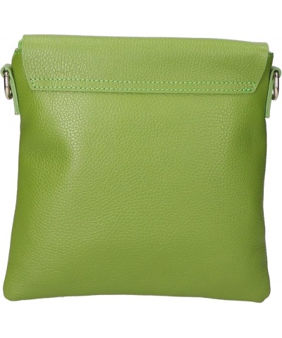 Classic Green $38.95 Shoulder Bags