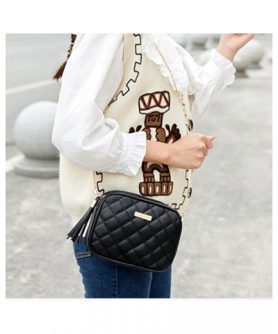 Small Messenger Bag for Women Trend Lingge Embroidery Camera Female Shoulder Bag Fashion Chain Ladies Crossbody Bags (Color :...